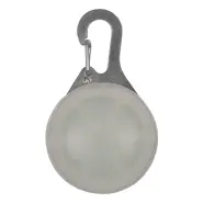 2905561900000